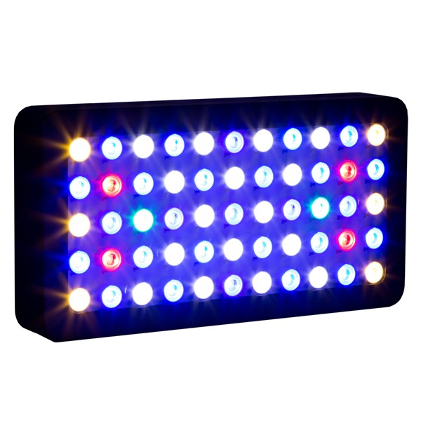 Marine Aquarium Used - 수족관용 프로그래머블 LED 조명, 산호초용 LED