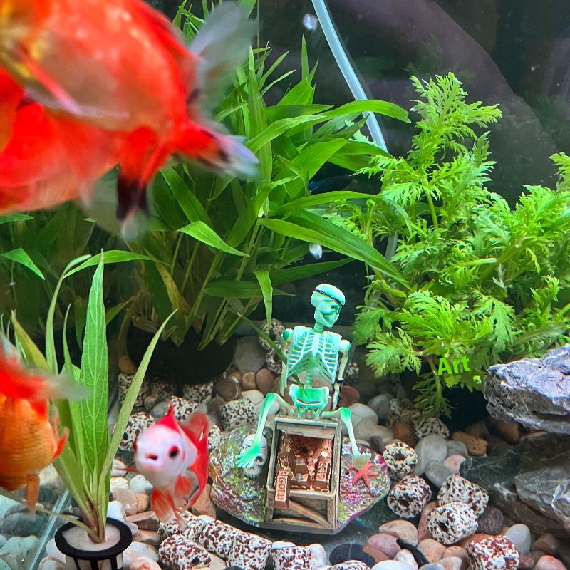 어항 에어로빅 랜드스케이프 버블 에어 펌프 재미있는 어 - Marine Aquarium Hobby 리뷰 및 가격