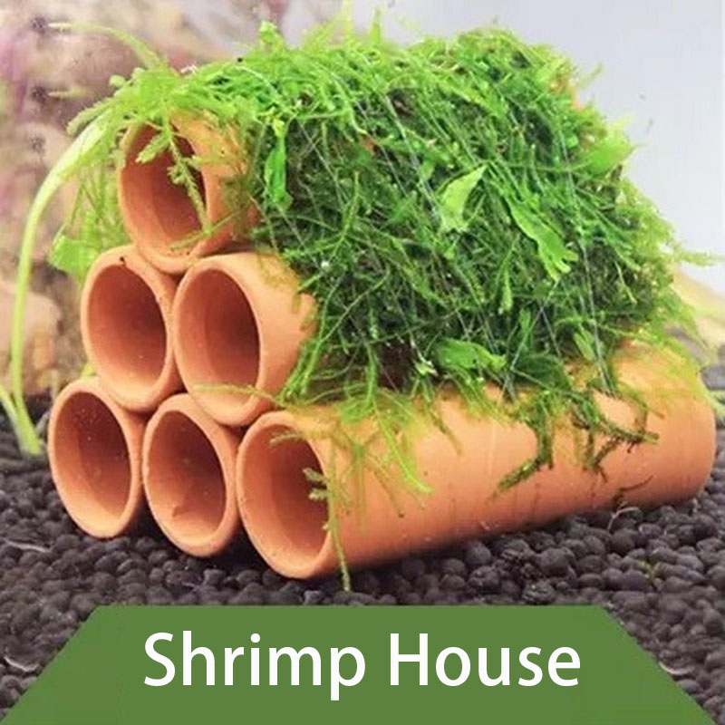 점토 수족관 장식 물고기 새우 놀이 숨어있는 동굴 대피 - Marine Aquarium Hobby 리뷰 및 가격