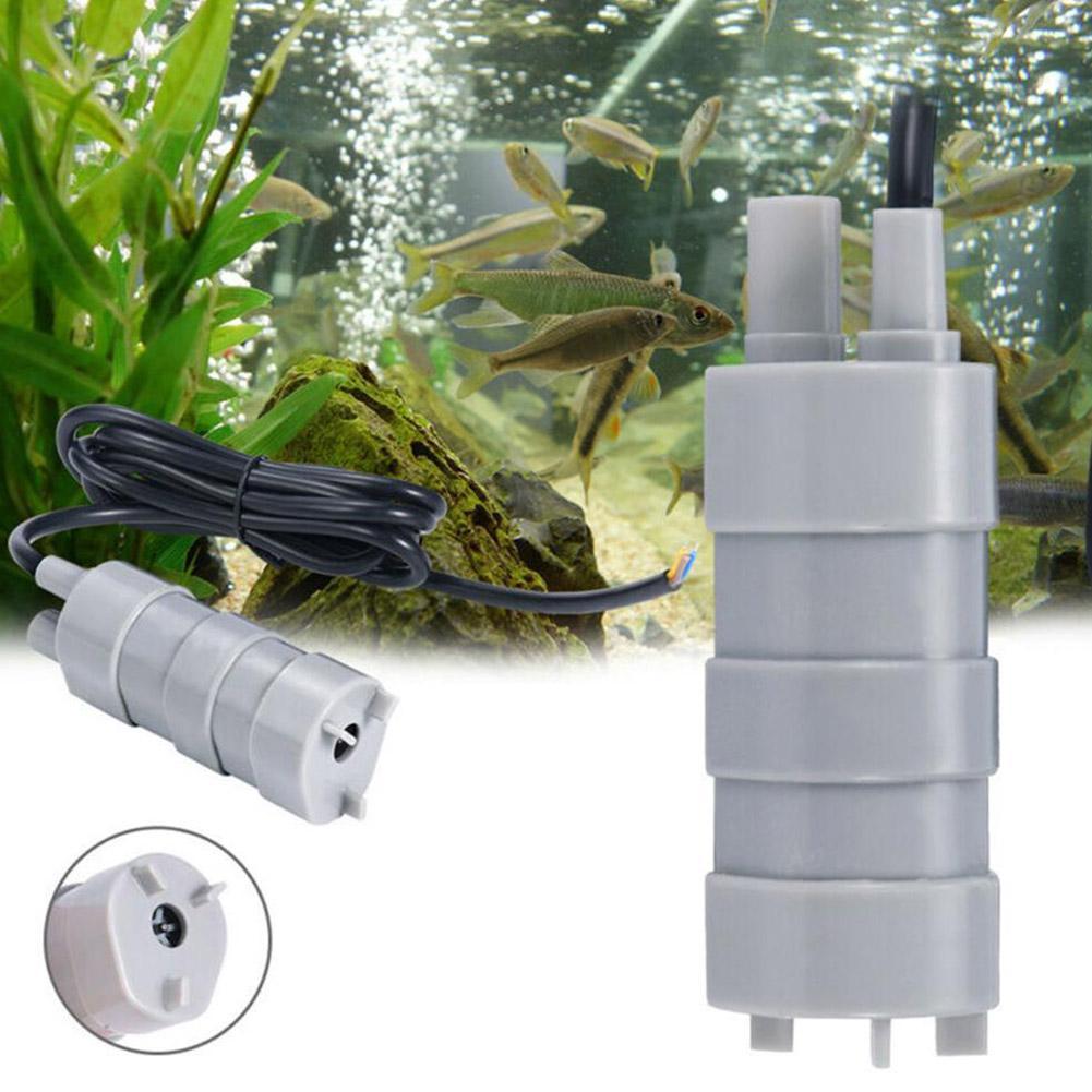 RV 12V 수중 펌프, 1000L/H 고유량 3선 플 - Aquarium & Marine Museum Universiti Malaysia Sabah Kota Kinabalu Sabah Reviews 리뷰 및 가격