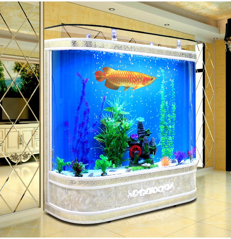 맞춤형 대형 유리 어항, 친환경 해양어 전시용 현대식  - Marine Aquarium Live 리뷰 및 가격