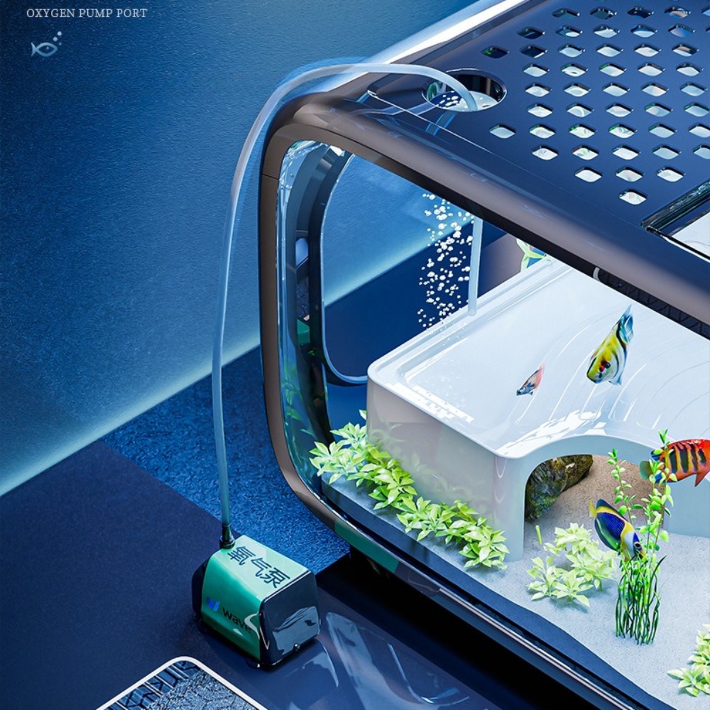투명 고급 어항, 내구성 좋은 거실 장식, 소형 금붕어 - Marine Aquarium Hobby 리뷰 및 가격