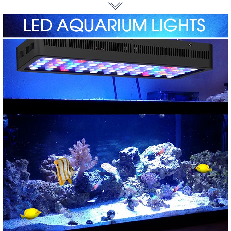BT 무선 제어 DIY 스펙트럼 맞춤형 공장가 산호초  - Marine Aquarium Used 리뷰 및 가격