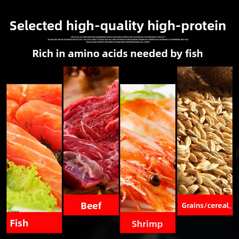 썬썬 코이 장식용 물고기 금붕어 사료 고함량 스피루리나 - Marine Aquarium Uv Sterilizer 리뷰 및 가격