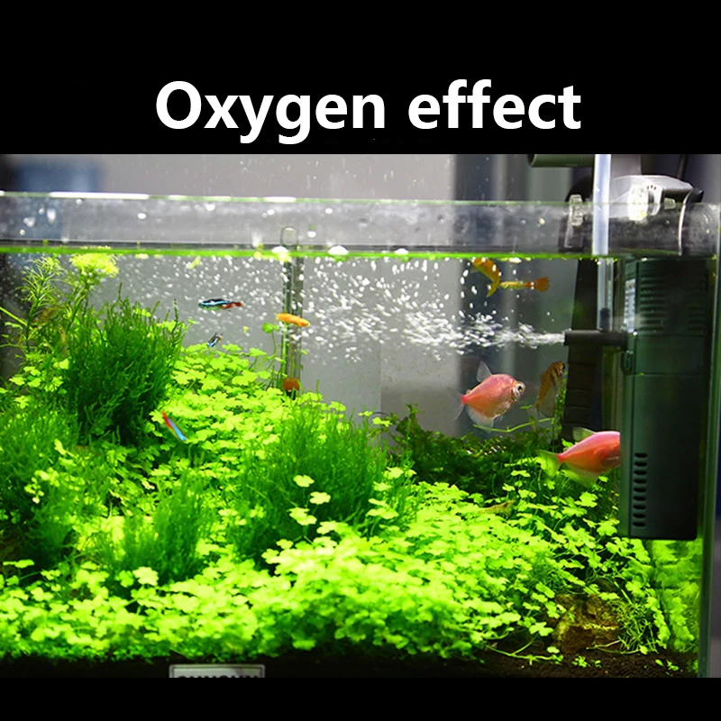 SUNSUN 미니 나노 수중 산소 펌프, 물고기 거북이 - Marine Aquarium Uv Sterilizer 리뷰 및 가격